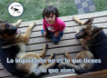 /album/fotogaleria/corazon-png/